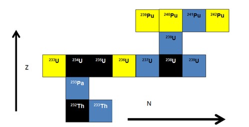 Simplifed nuclear chart for uranium area.jpg