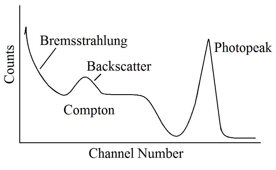 Expt 11 fig 1.jpg